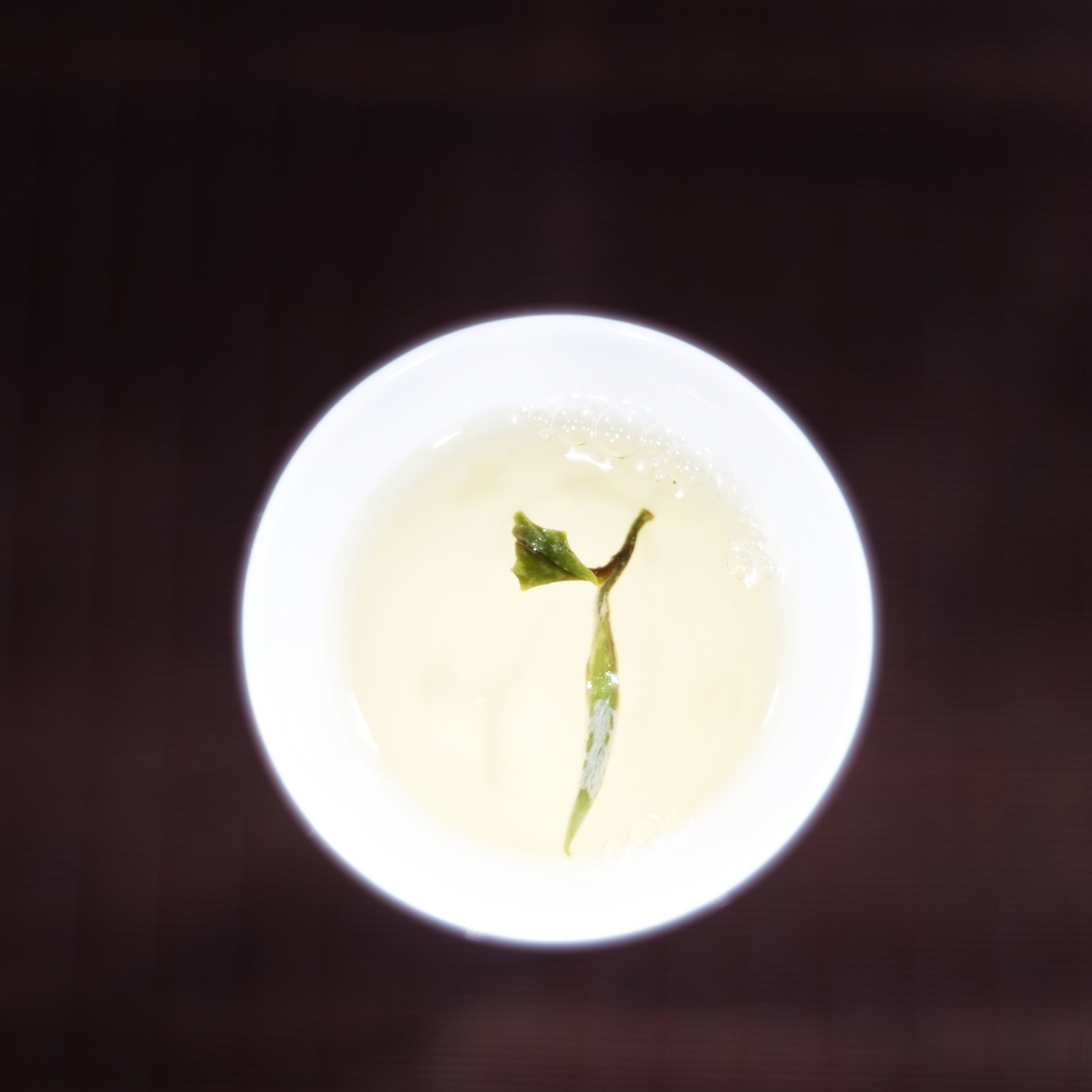 荒野牡丹王 25春