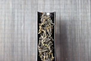 轻火黄玫瑰