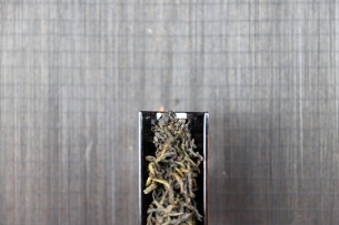轻火黄玫瑰