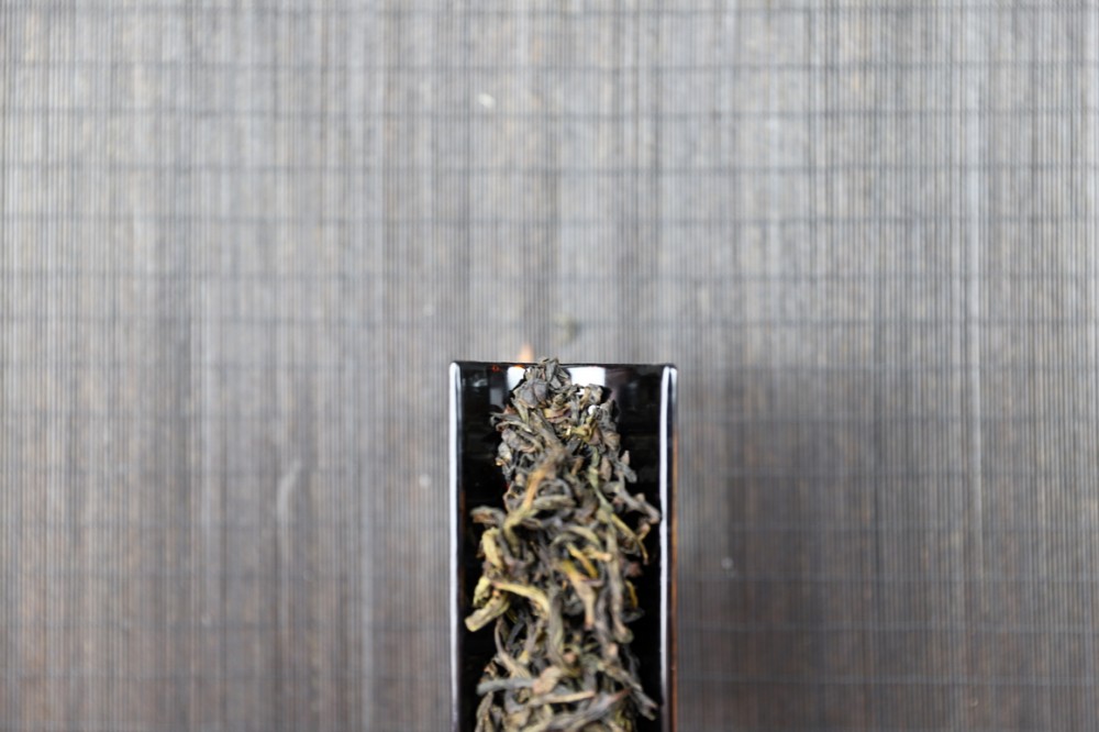 轻火黄玫瑰