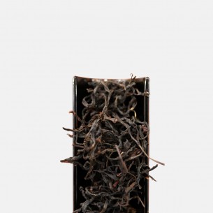 野生奇茗