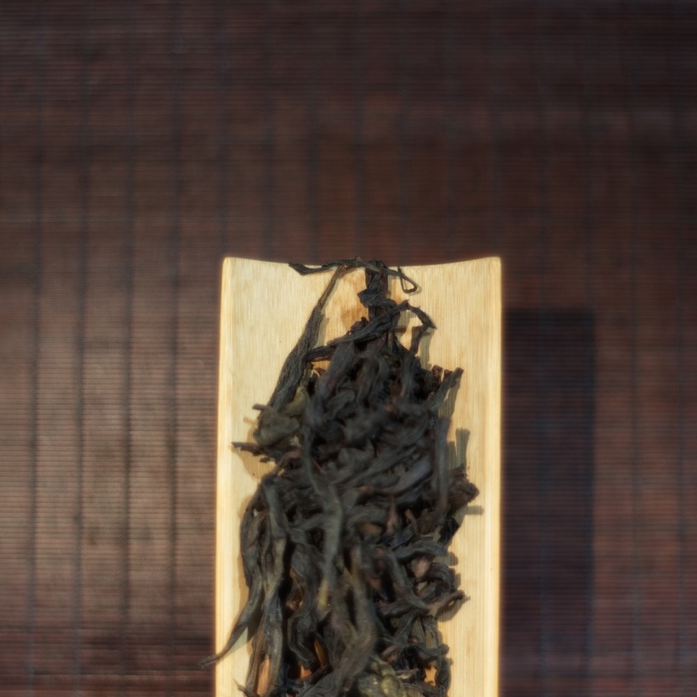 高枞水仙