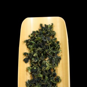 朝露茶 25秋