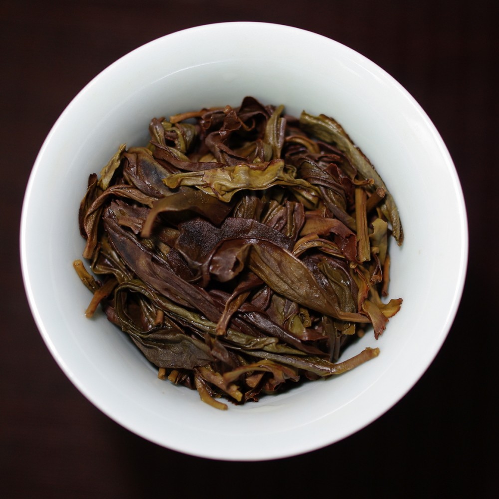 宋种芝兰香 26春